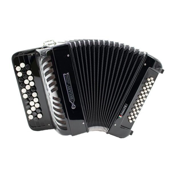 Top Professional Accordions