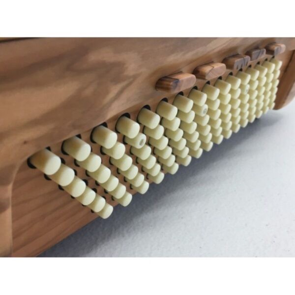 XOANA 288 Cassotto/Chamber Accordion - Image 2