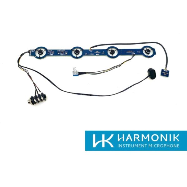 Harmonik AC 501-TM (Diatonic/TexMex)
