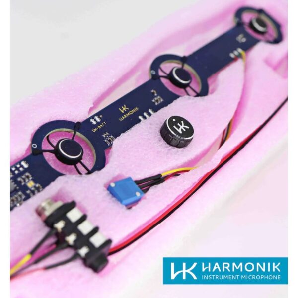 Harmonik AC 501-TM (Diatonic/TexMex) - Image 3