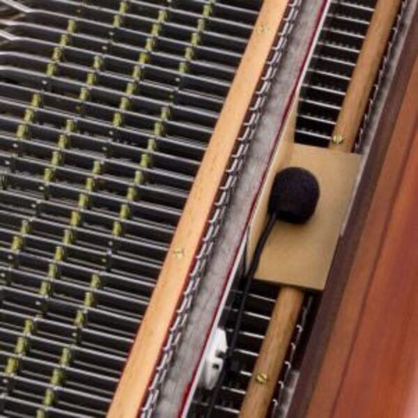Rumburger Rumberger TA3000X-S - Accordion Shop